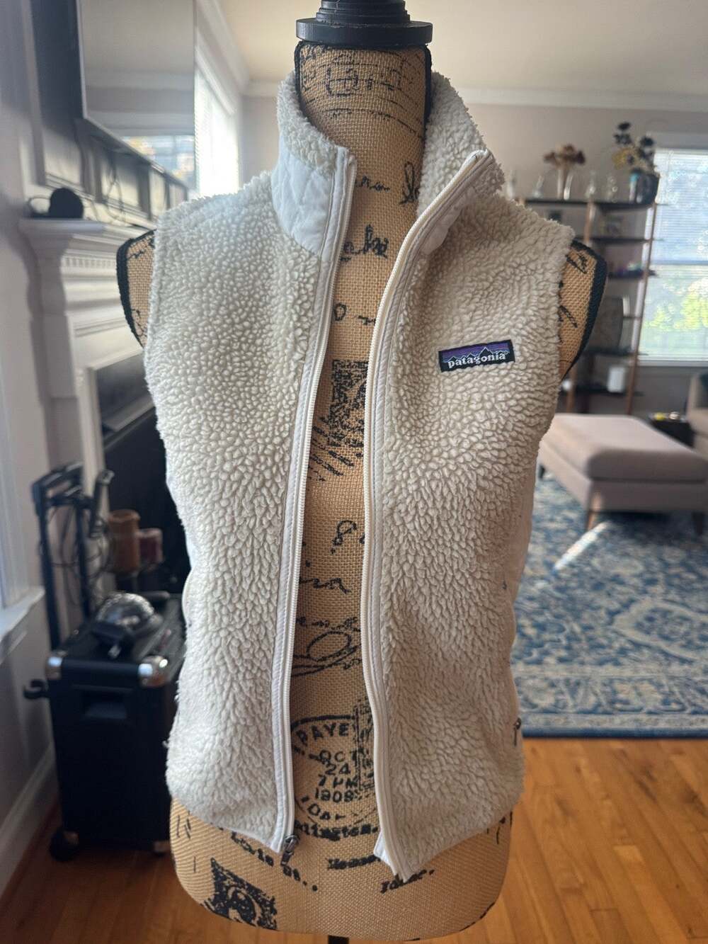 Patagonia Retro X Vest Deep Pile Fleece Full Zip Sherpa Synchilla xs (co300